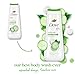 Dove Body Wash Refresh Cucumber and Green Tea for 24hr Lotion-Soft Skin Moisturizing Skin Cleanser with No Sulfates No Parabens 20 oz
