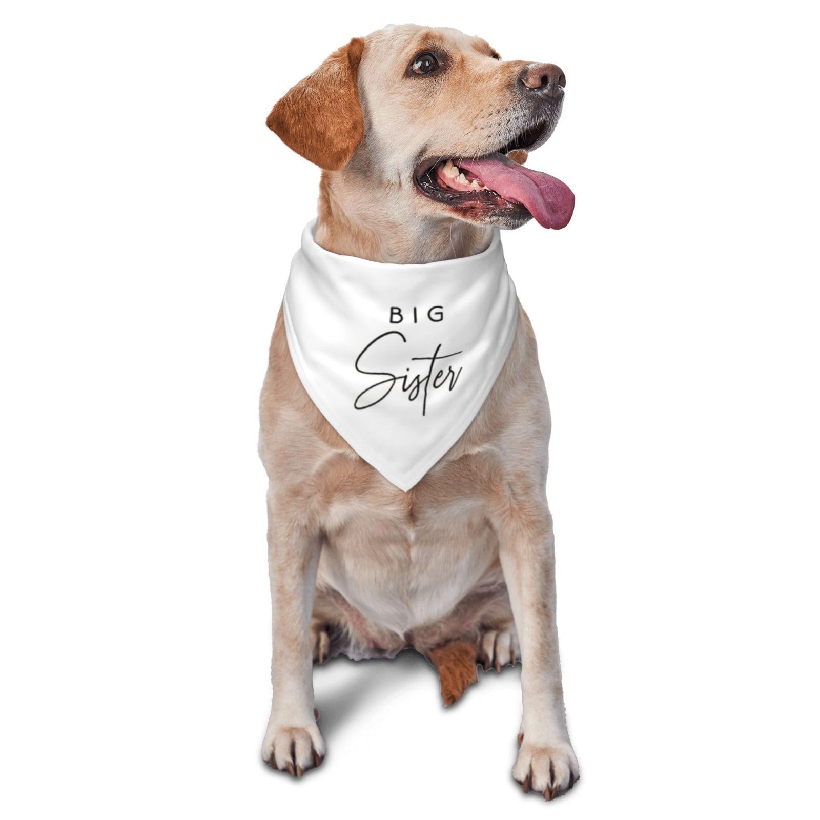 vercosee Big Sister Dog Bandana,Gender Reveal,Baby Announcement Dog Bandana,Pet Scarf, Pet Accessories for Dog Lover Owner (White)
