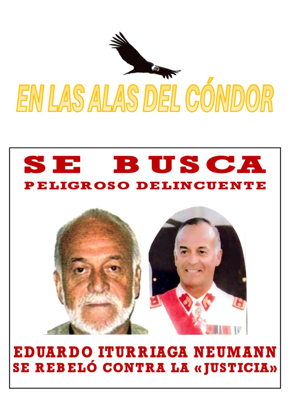 En las Alas del Cóndor