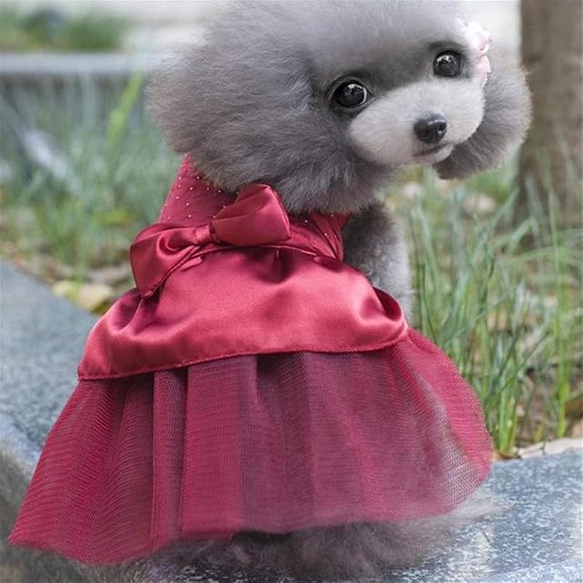 Foto 5 de 6 de N/E Zhexundian Vestido del Partido del Perro, Vestido de Boda Ropa Mascotas