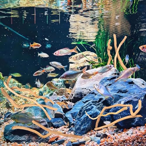 Image of Hamiledyi Natural Driftwood for Aquarium Decor - Red Moor Wood 10 inch-15 inch Long Assorted Shapes (600g) Safe Branches for Fish Tank & Reptile Habitat - Natural Aquarium Wood Decorations (Coarse Branches)