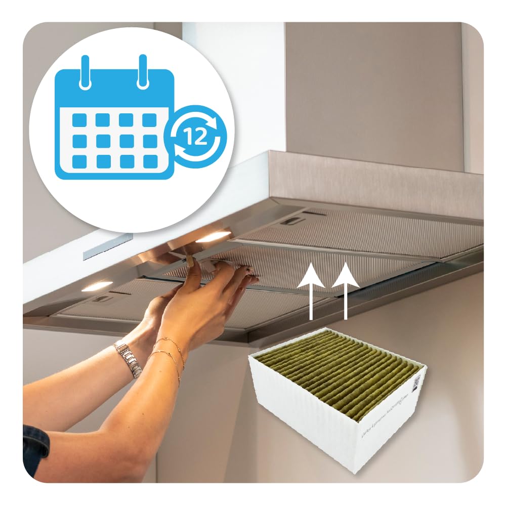 AllSpares CleanAir filtro de repuesto para campanas extractoras Bosch 11033934/11017314/DZZ1XX1B6, Siemens LZ31XXB16, Neff Z53XXB1X6, Gaggenau AH200110 (233 x 190 x 100 mm)