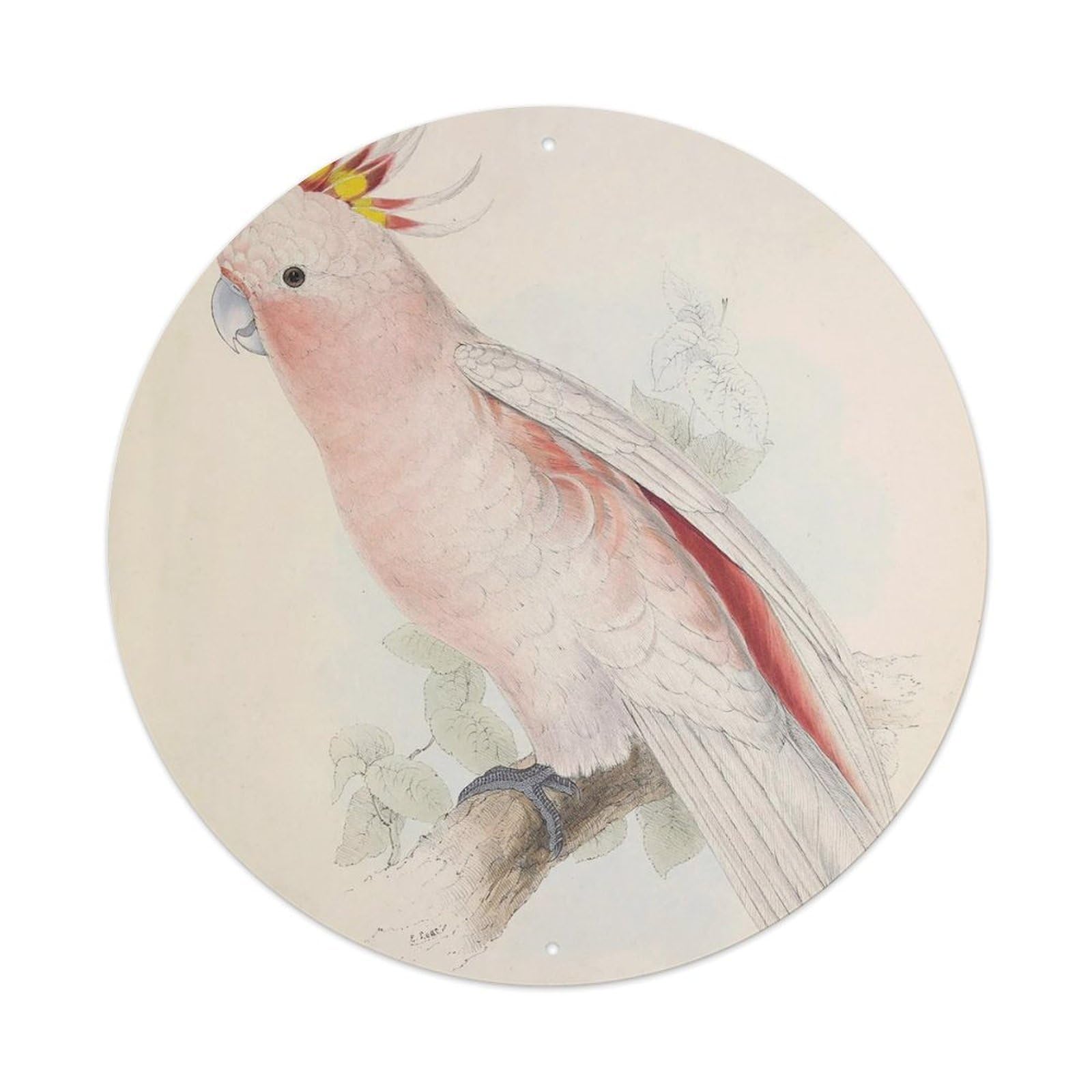 Animal Birds Pink Cockatoo Vintage Metal Tin Sign Plaque Wall Decor for Cafe, Club Bar, Office, Garden Metal Poster 8x8Inch