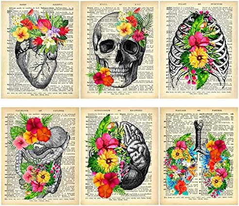 Medical Dictionary Art Set - Vintage Anatomical Posters Retro Floral Wall Decor for Doctors Office Clinic Med Student Dorm Gifts for Nurses Physician Assistant PA Women Men - Unframed 8 x 10 Prints