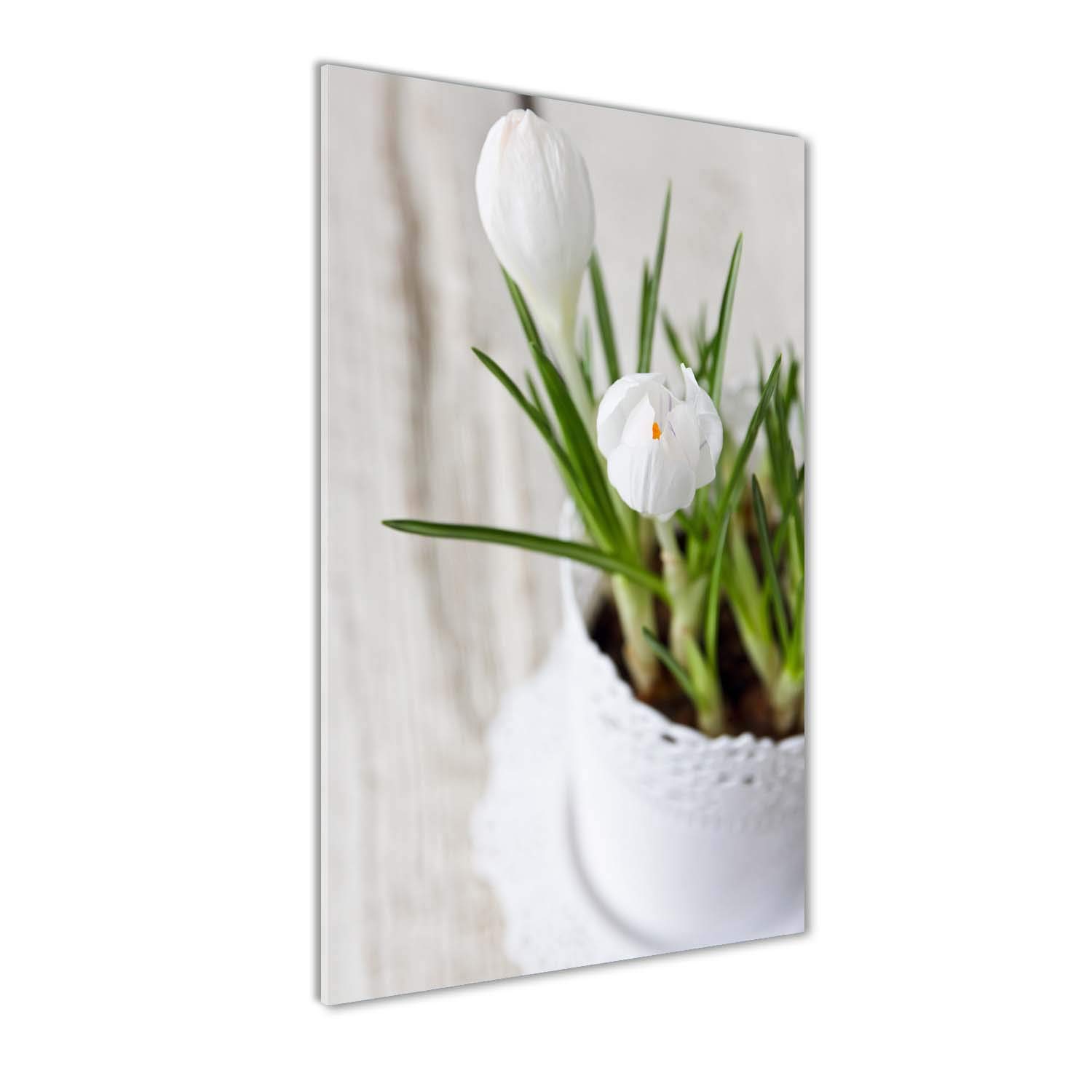 Fleurs et Plantes Crocus Blancs Tableau Mural Verre Acrylique Tulup 50x100 cm