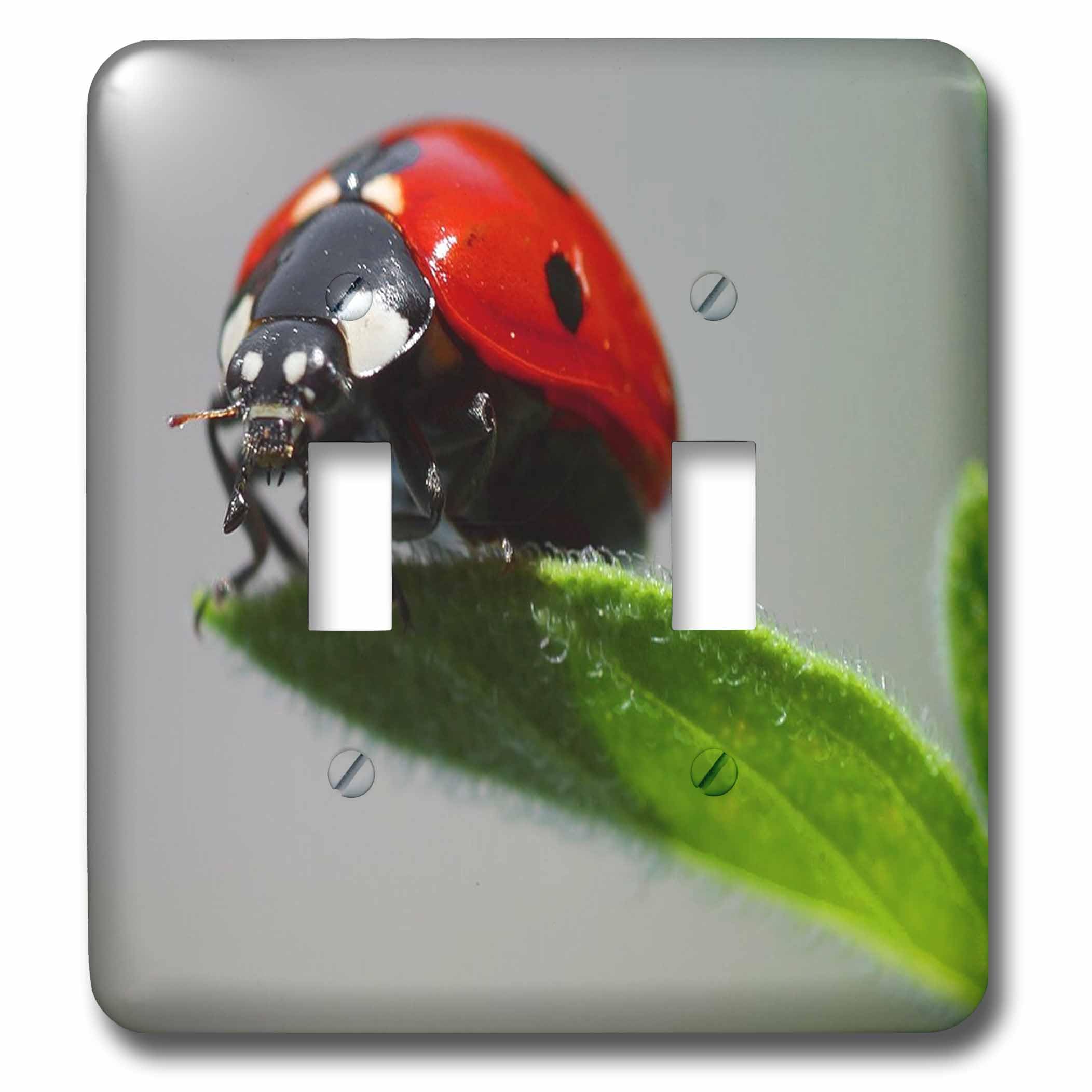 Coccinelle double interrupteur plaque murale de finition lsp_62380_2