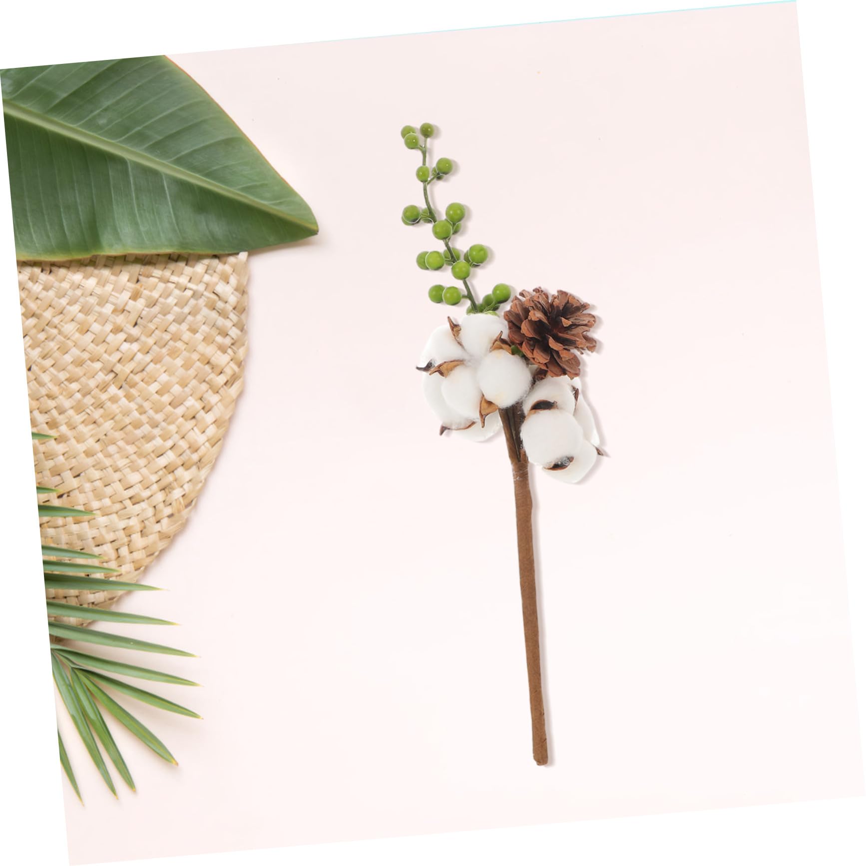 IMIKEYA 4 Pcs Tiges de Coton Séché Fleurs Décoratives Naturelles pour Décoration D'intérieur Automnale et Mariage