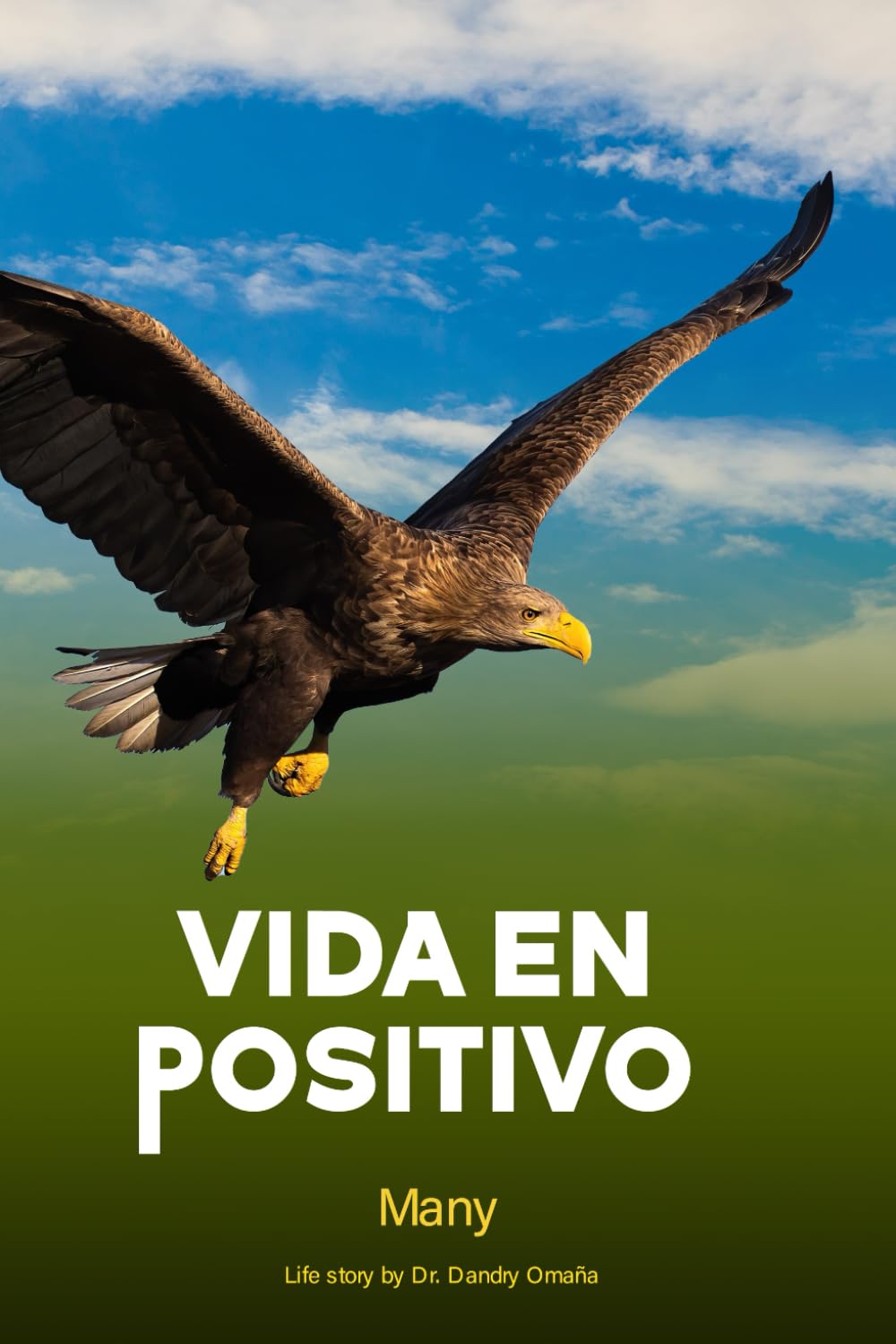 Vida en Positivo (Spanish Edition)