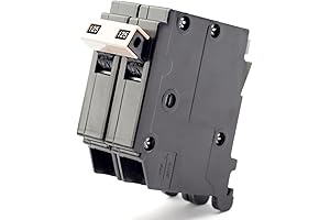 Upgraded 2125 2-Pole 125-Amp Ch Products Circuit Breaker