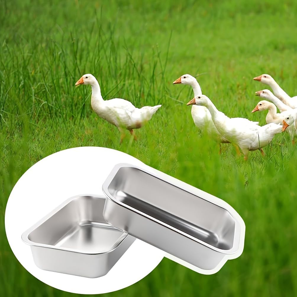 Alimentador de pollo de gran capacidad, equipo de riego de ganado de acero inoxidable para pollos, patos y cerdos, accesorios para gallineros