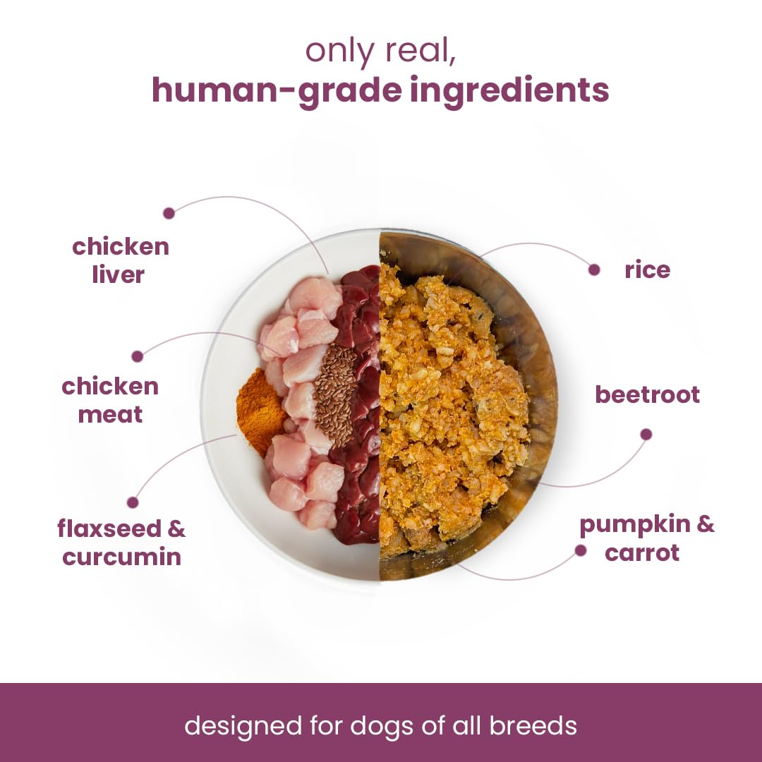 Nootie Gently Cooked Fresh Dog Food | Human-Grade, Vet-Formulated Meal | Chicken Liver, Beetroot & Rice | Preservative-Free | Adult Dogs All Breeds | 300g (Pack of 3) 1