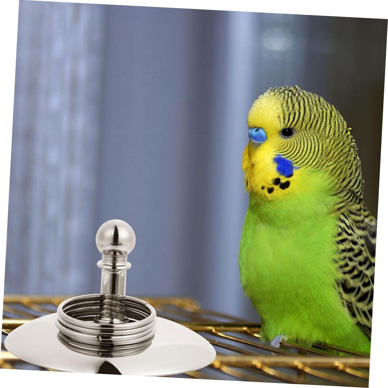 BESPORTBLE 4juegos Juguete De Entrenamiento para Loros Bicicleta y Anillos De Inteligencia Juguete Educativo para Aves Interacción y Actividad Física para Ninfas y Agapornis