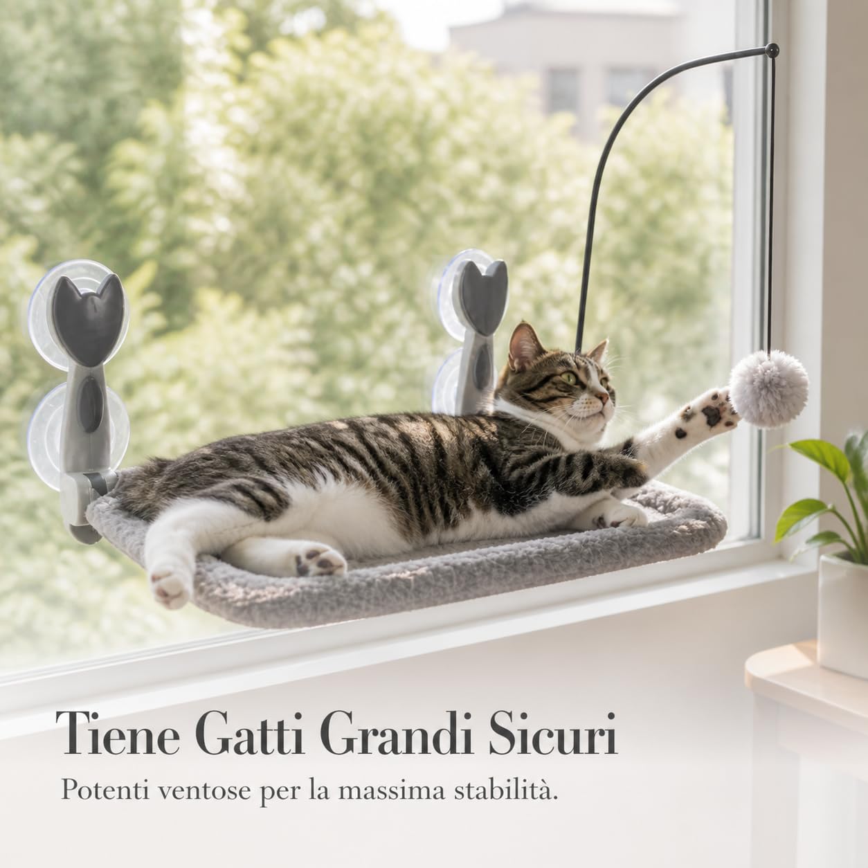 Gatti con Ventose Pieghevole, 灰色四季款（配逗猫棒）, 30 * 60cm | Fissaggio a ventosa, Cuccia Gatto Relax, Spazio dedicato gatto, For famiglie con gatti