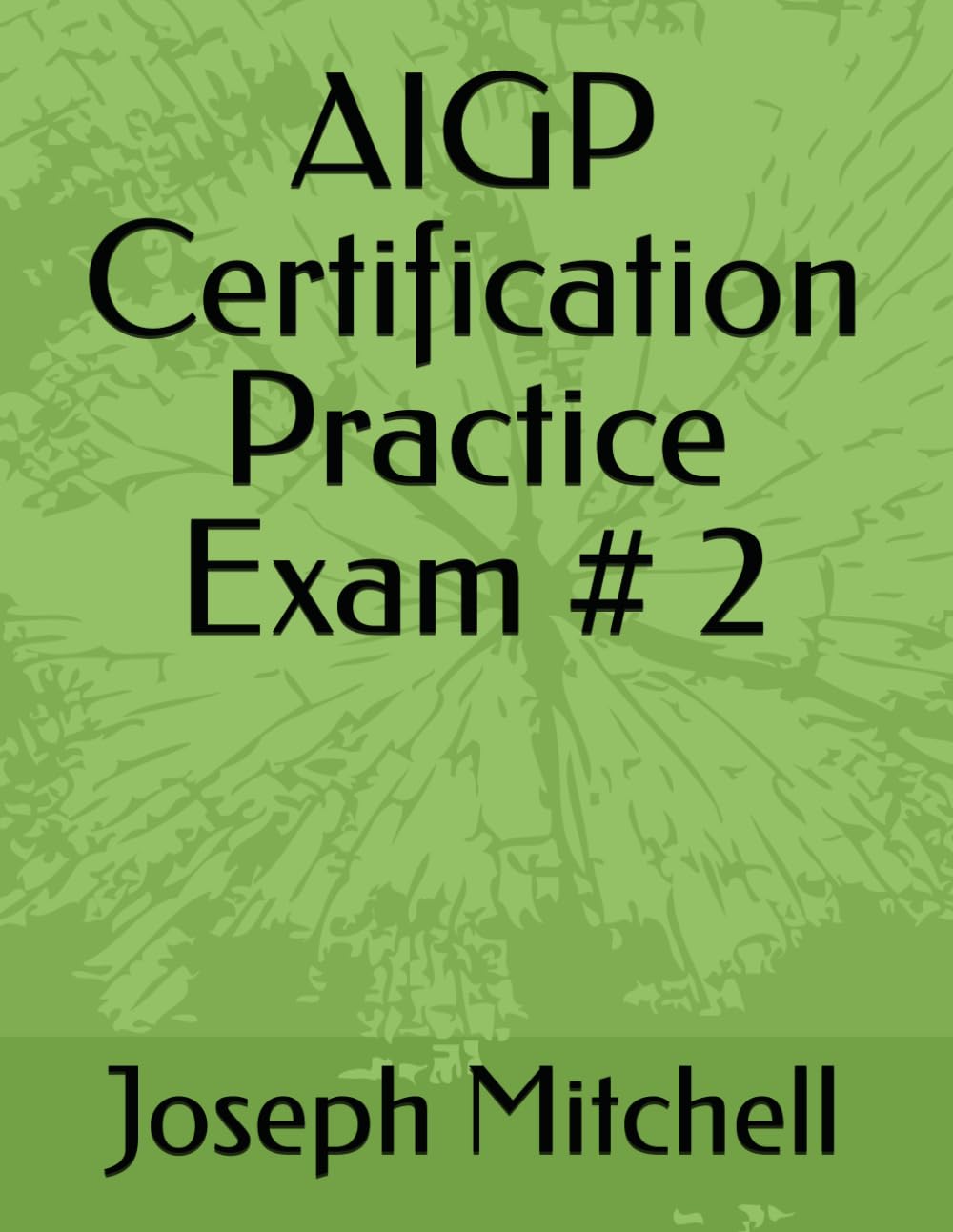 AIGP Certification Practice Exam # 2