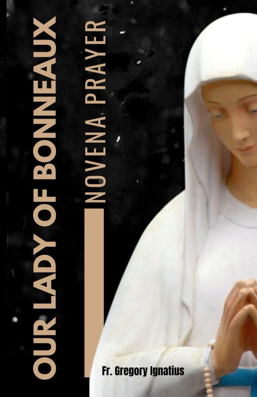OUR LADY OF BANNEUX PRAYER BOOK: A 9 Days Novena Devotional Prayer Handbook of Catholics Faithful’s and Christians