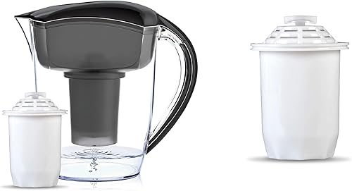 Santevia Jarra de filtro de agua alcalina clásica y filtro de repuesto individual Filtro de cloro y plomo Jarra purificadora de agua Jarra de