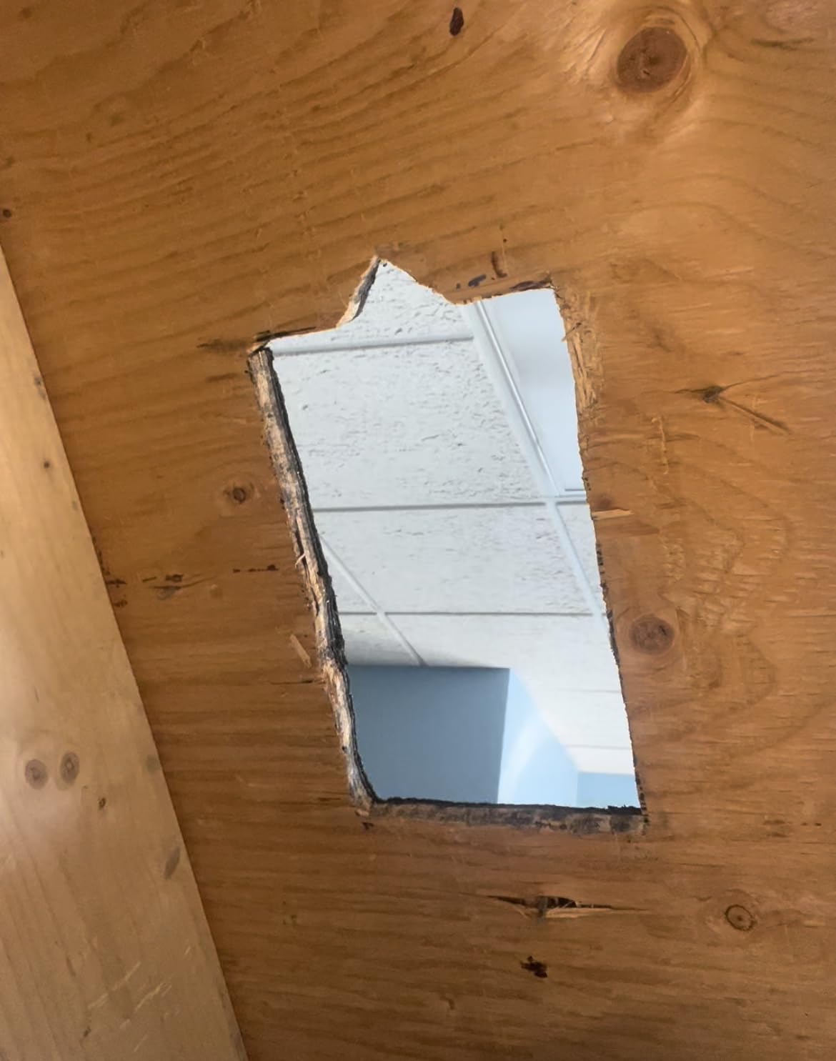 Kozy Kollar Brida de techo PV-7.6 cm