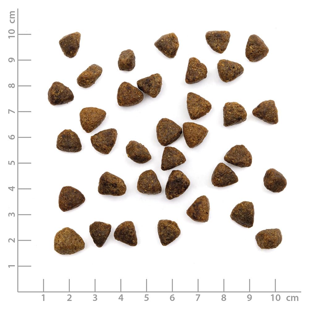 Wildes Land - Huhn - Classic Adult Trockenfutter für Katzen - 6 kg