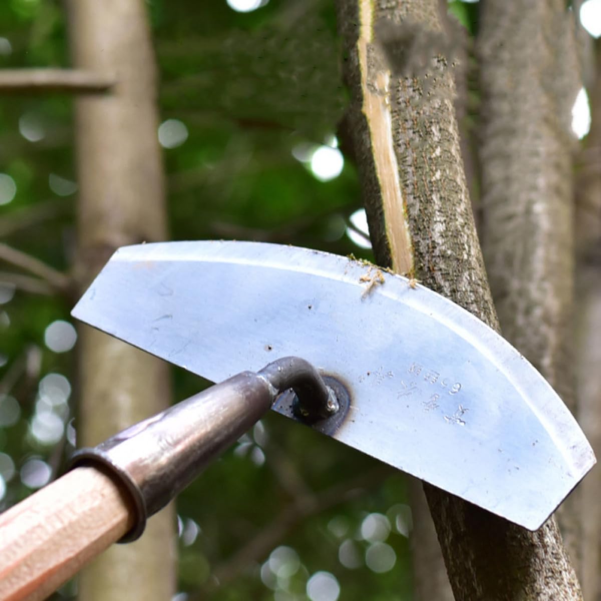 ifundom 3 Stück Unkrautschaufel Gartenhandwerkzeug Unkrautstecher Unkrautentferner Grasentferner Kleines Unkrautwerkzeug Gartenhandwerkzeug Silberstahl