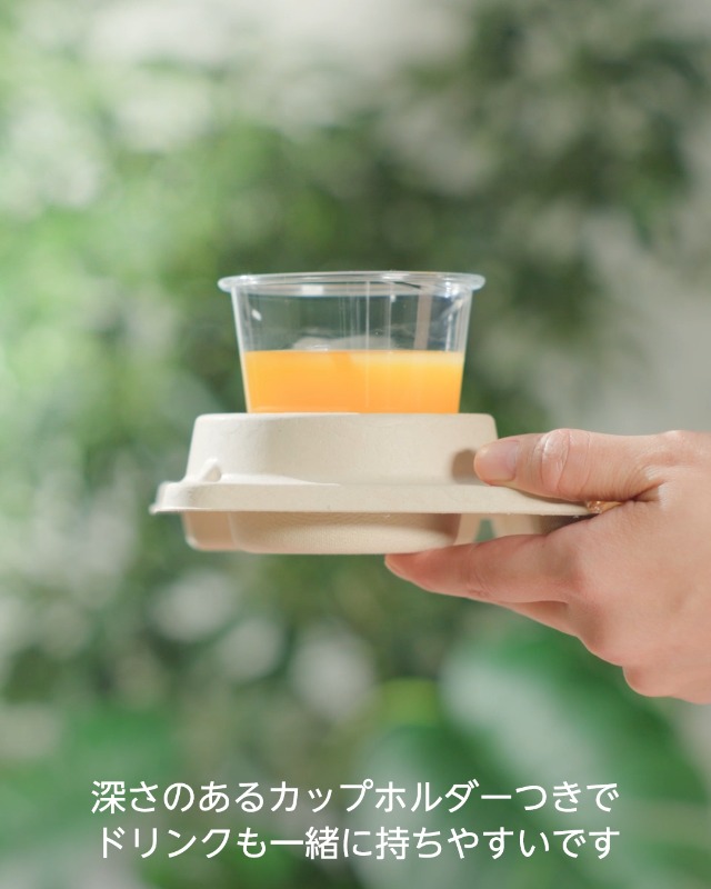 Amazon.co.jp: ストリックスデザイン 使い捨て容器 仕切付きプレート