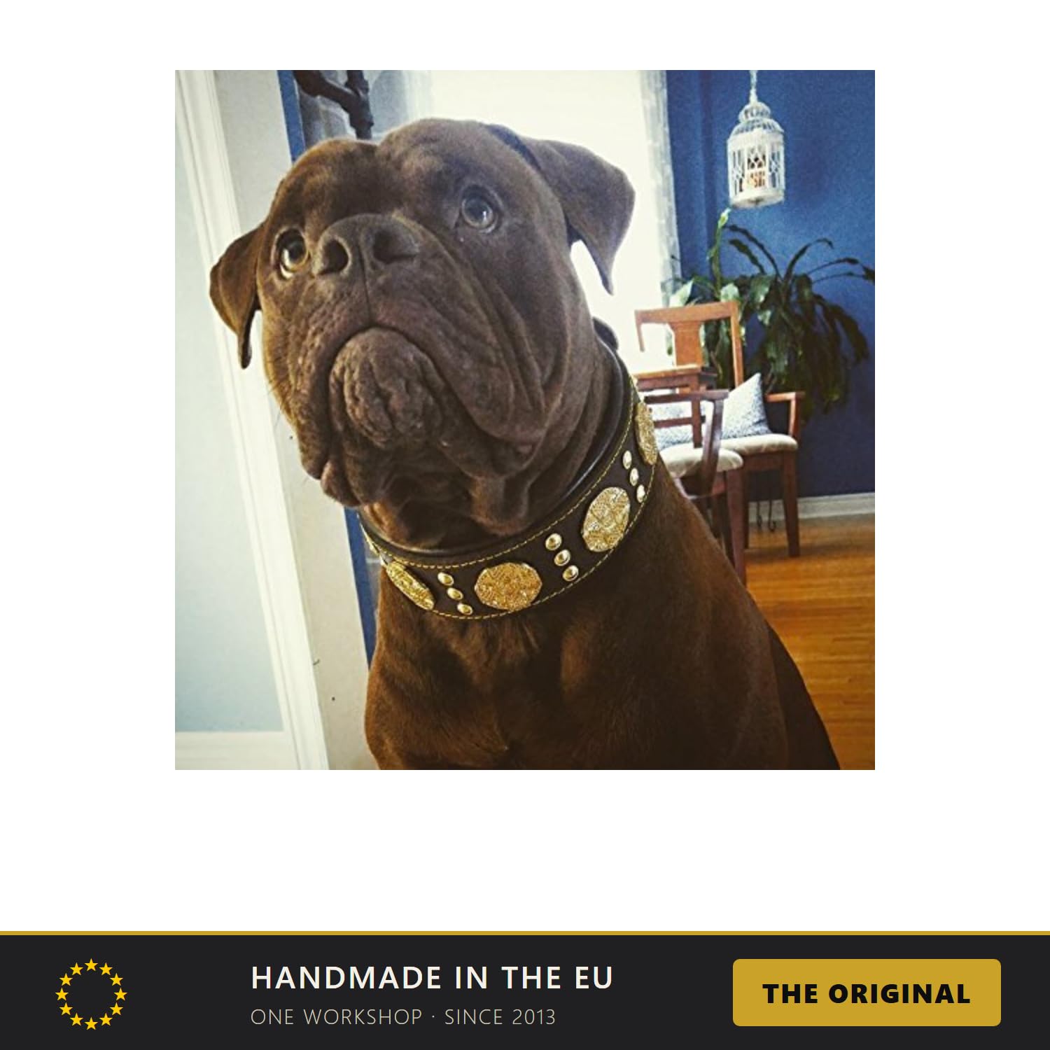 Bestia Maximus Hundehalsband, Echtleder, für große Rassen, Cane Corso, Rottweiler, Boxer, Bullmastiff, Dogo, hochwertiges Hundehalsband