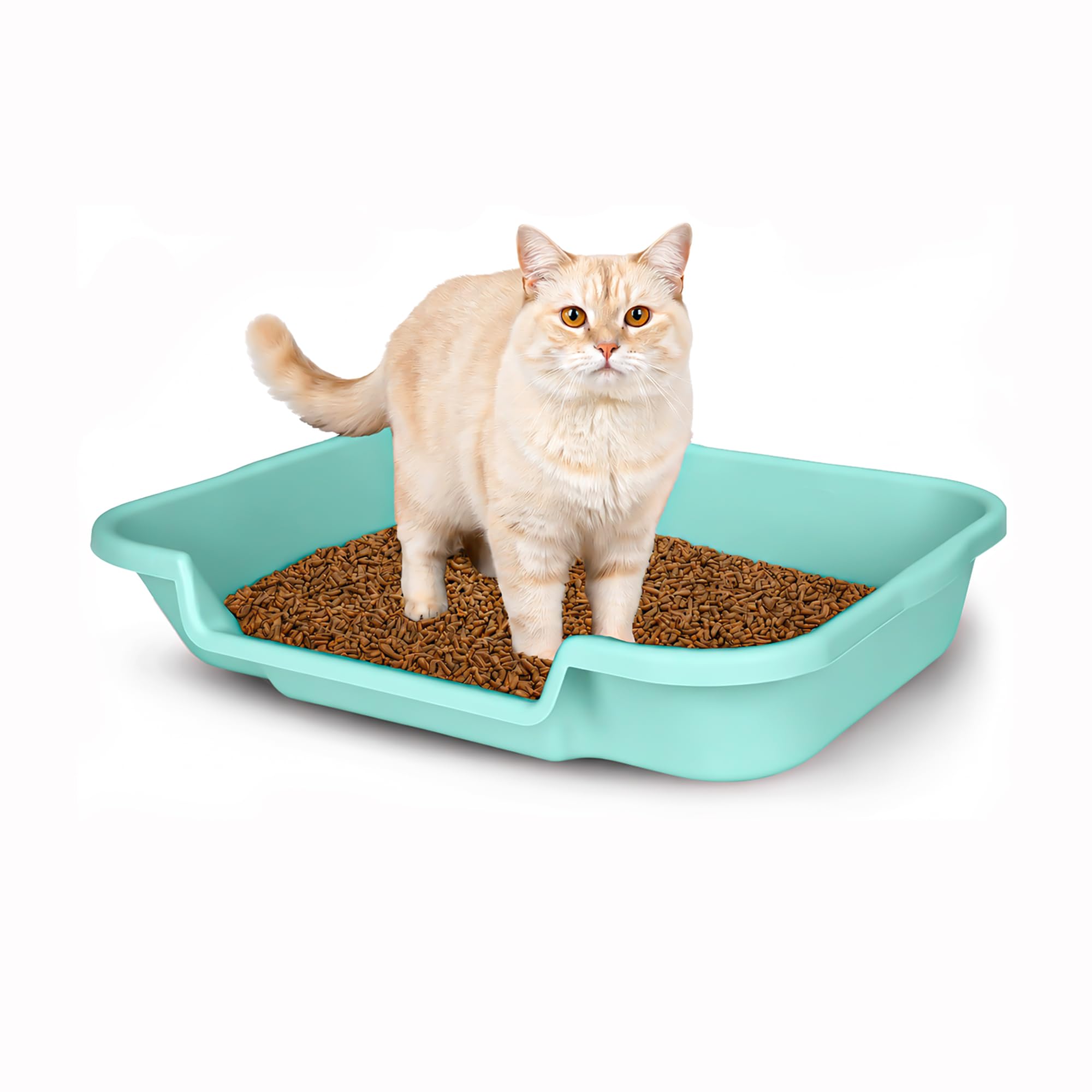 KittyGoHere Senior Cat Litter Box