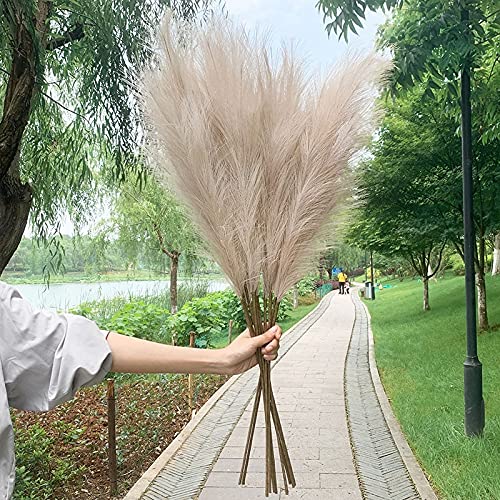Buy Faux Pampas Grass Decor Tall Bundle of 3 Artificial Large Pampas