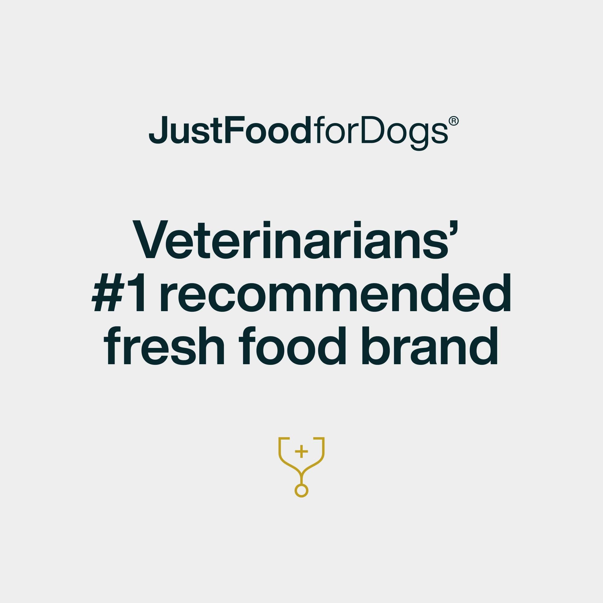 JustFoodForDogs Wild Hundeleckerlis, einzelne Zutaten, gesunde Hundeleckerlis, 142 ml