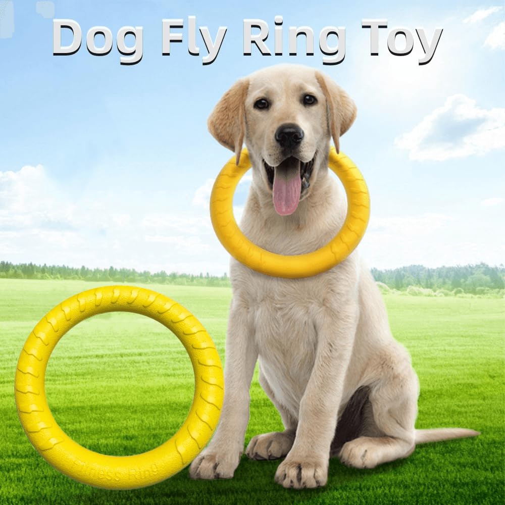 Anillo de mosca para perro, anillo de fitness flotante para perro, juguetes de disco volador para perros al aire libre, juguetes masticables duraderos para entrenamiento al aire libre,