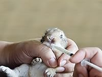 Vista 7 de 100 jeringas de plástico sin aguja de 0.0 fl oz y 1 cc para mascotas oral, rellenar, aplicar aceite o pegamento, medir o transferir pequeñas