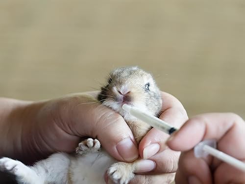 Miniatura 7 de 100 jeringas de pipeta de 0.0 fl oz y 1 cc con punta deslizante Luer sin aguja para mascotas oral, rellenar, aplicar aceite o pegamento, medir o