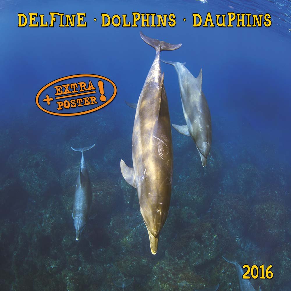 Dolphins/Delfine 2024: Kalender 2024 (Artwork Edition), Teal/Turquoise Green, Klein
