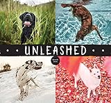 Unleashed