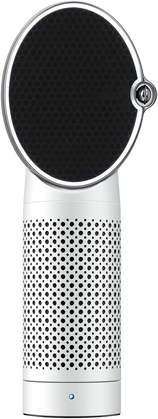 Small Air Purifier, QUEENTY Desktop Air Purifier Ionizer with True H13 HEPA Filter, Travel Air Purifiers for Bedroom Home, Pets, 2 Speeds, Energy Save, 3 Stage Filtration System (Black)