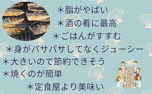 ノーブランド品 塩サバ 冷凍 約1k 極上 ノルウェー産 とろ さば サバ 鯖 切身 脂乗り 訳あり の商品画像 1