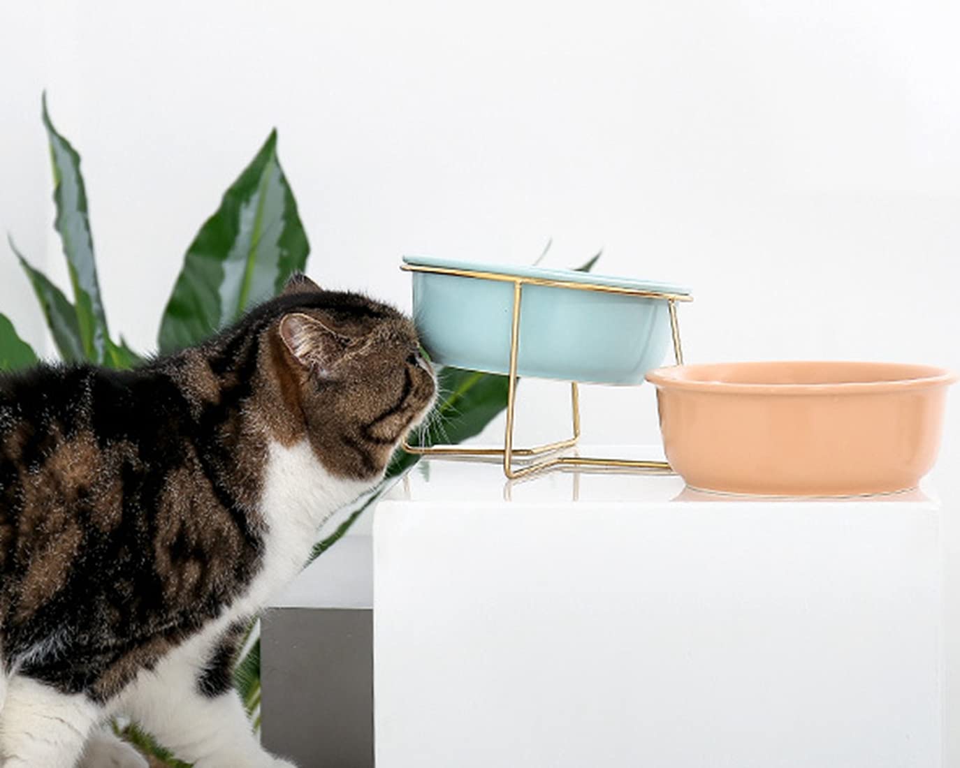 Dubbele voerbak van biscuit aardewerk voor hond en kat | R23352