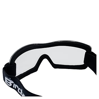 Amazon.com: Birdz Eyewear Wren Sport Skydiving Snowboarding