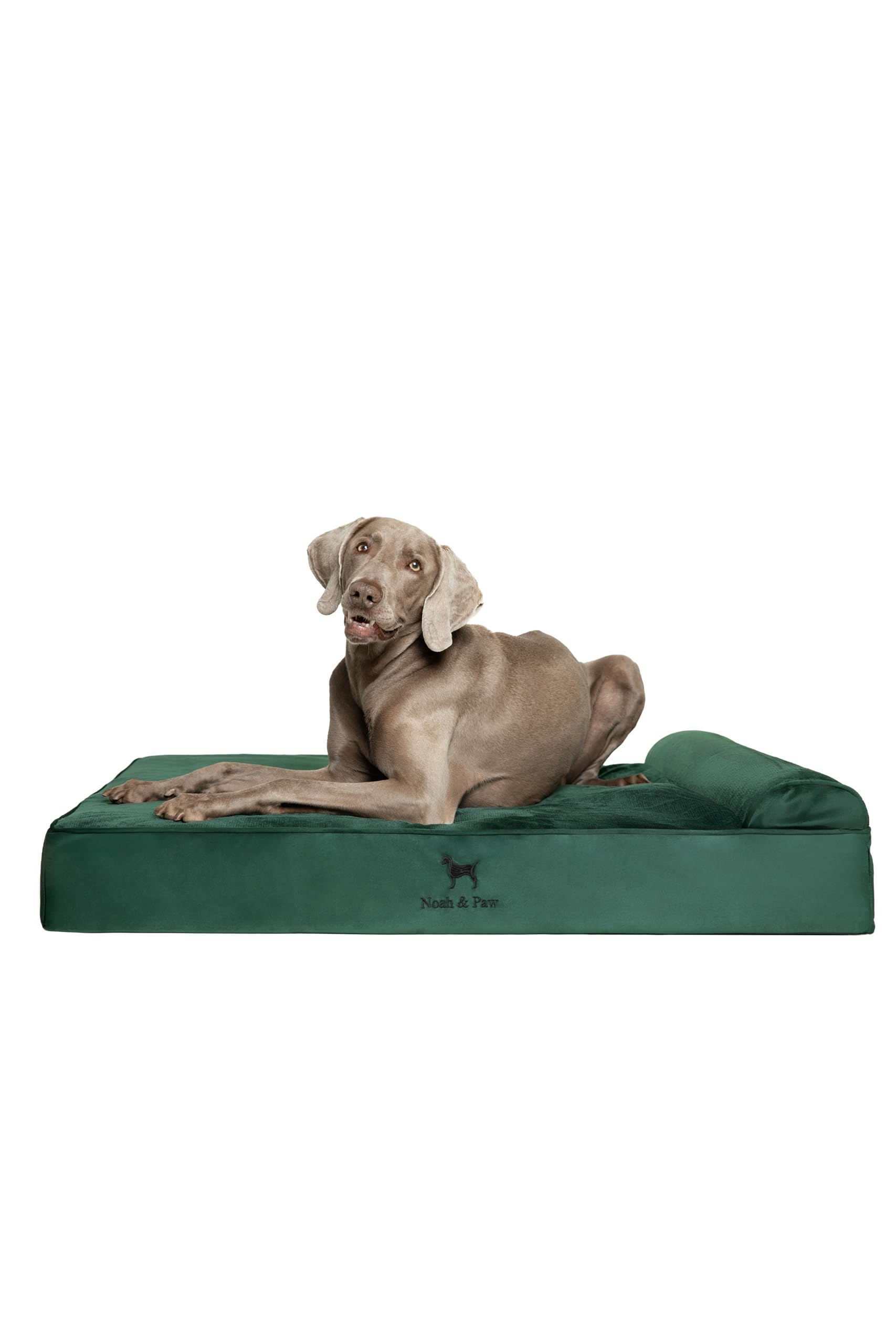 NOAH & PAW XL Dog Bed, 45x35x11 Inch, Orthopedic Large Dog Beds, Eggshell Memory Foam Infused with Cooling Gel, Waterproof, Machine Washable, Includes Inner Cover (Velvet Collection)