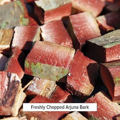 Banyan Botanicals Organic Arjuna Powder ­­– Arjuna Bark Powder (Terminalia Arjuna) –Traditional Herbal Heart Supplement For Proper Heart Function* – 1 Lb. – Non-Gmo, Sustainably Sourced, Vegan* #TOP4