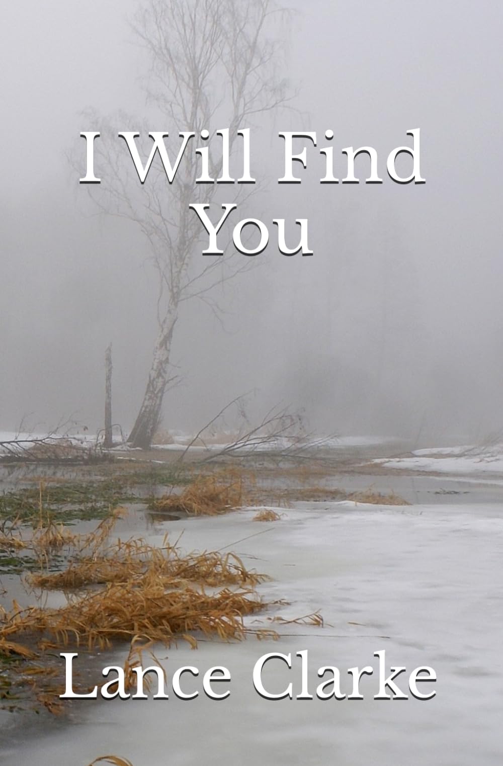 I Will Find You