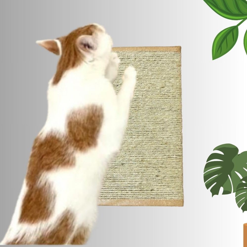 Jute Scratch Pad with Catnip for Cats, Handmade, Self Adhesive, for Indoor Cats, Kittens, Durable, The Ideal Solution for Your Cat’s Scratching & Exercise, Claw Friendly, Safe & Non-Toxic Cat Toy (B0CYXTQ12Q) Amazon Price History, Amazon Price Tracker