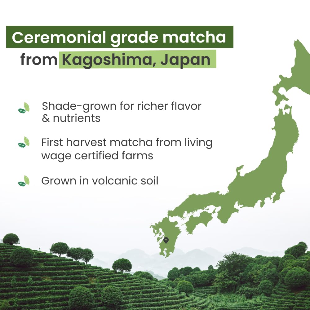 PureChimp Ceremonial Grade Matcha Powder 1 75oz Pure Japanese Matcha Ceremonial Grade Tea Shade-Grown in Kagoshima Antioxidant-Rich Green — view 2
