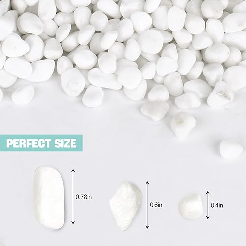 Miniatura 3 de WHANLEY L&Q Grava mate, rocas blancas naturales de río (0.4  0.8 pulgadas), grava blanca, piedra de relleno de jarrón, grava de guisantes, rocas,