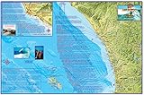 San Diego Surf Map Laminated Surfing Guide Poster by Franko Maps