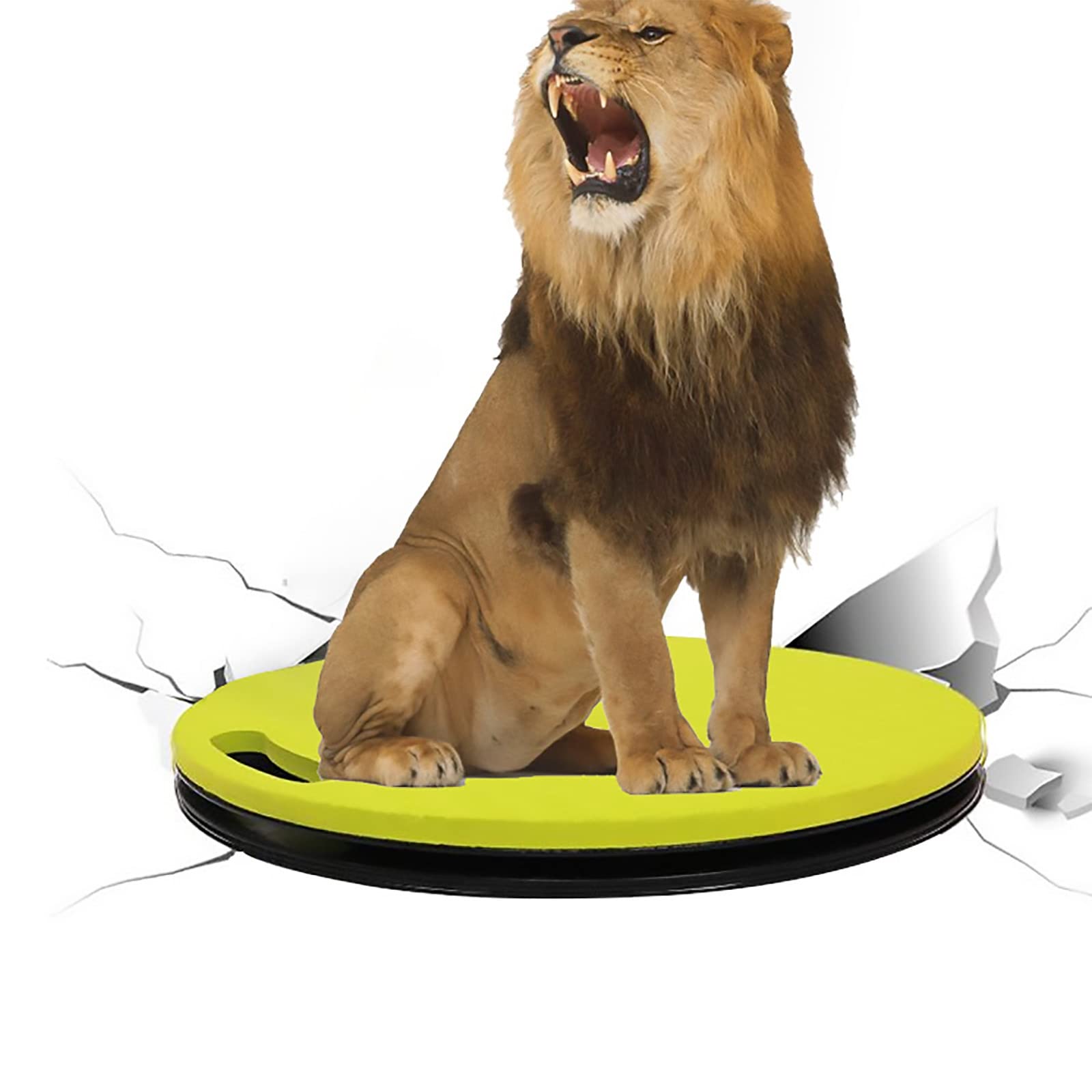 Tabla de Transferencia, Carrera, hemiplejia, enfermería, Cambio de Disco, Ejercicio, Cintura, Tabla giratoria, rotación de 360 Grados para Personas Mayores y discapacitadas
