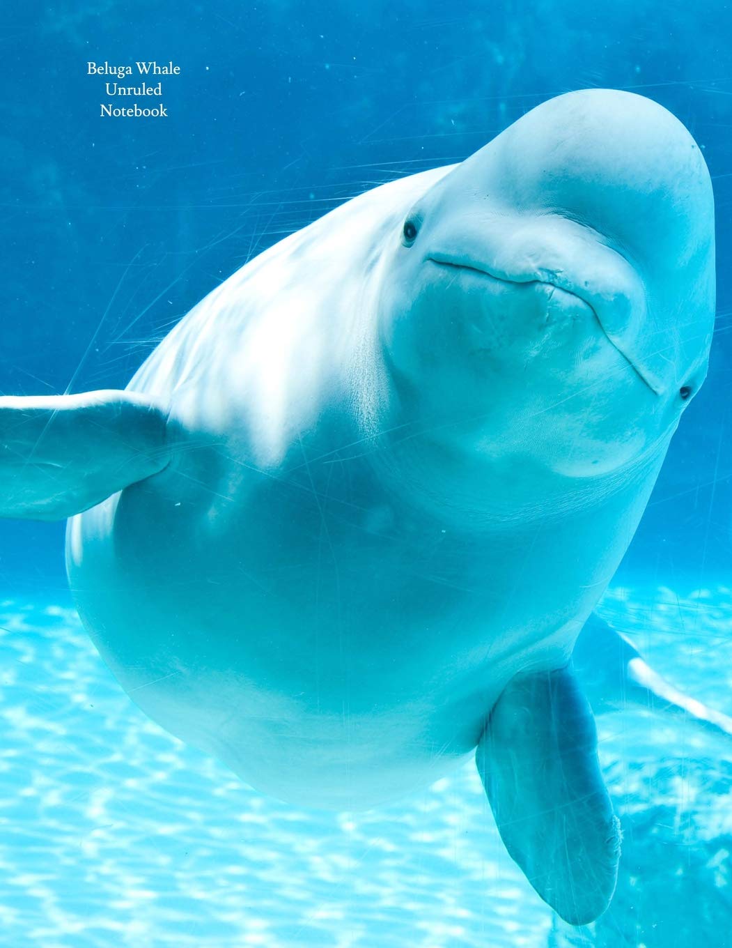 Beluga Whale Unruled Notebook: Unruled Notebook: Blank Pages, No Lines, Glossy Cover, Full Size at 8.5 x 11 Inches