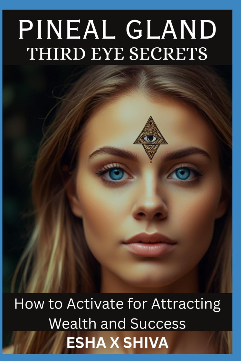 Pineal Gland Third Eye Secrets: How to Activate for Attracting Wealth and Success