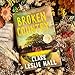 Broken Country - A Gripping Story Of Family And Identity,Story Of Love, Loss, And The Choices - Paperback