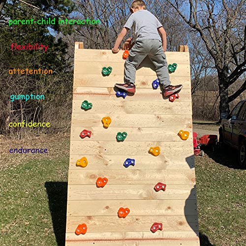 Gelury 32 Rock Climbing Holds for Kids and Adults| 8 Colors Climbing Holds| Rock Climbing Wall Holds Outdoor and Indoor with Mounting Hardware Kit - Thumbnail 4