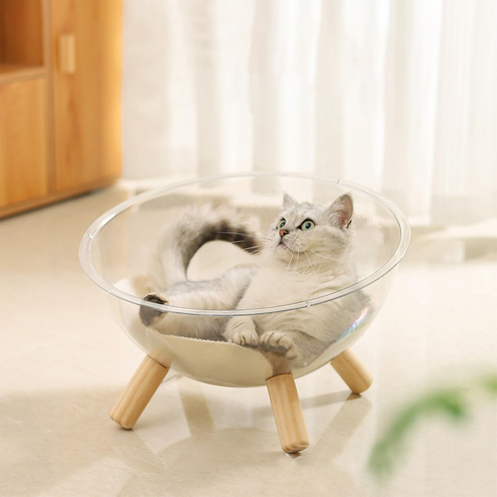 Korb für Katzen | Korb in Form einer Schüssel mit Basis aus Holz, Kuppel, transparent, Zubehör für Kleintiere, Raum, Aktivität, Erholung, Spiel zur Entspannung